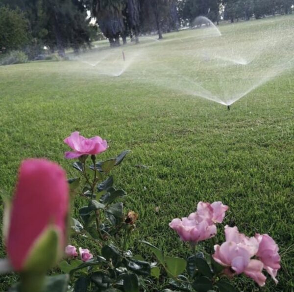 Venta: Casa Club Amancay 2 plantas Frente al Golf - Imagen 2