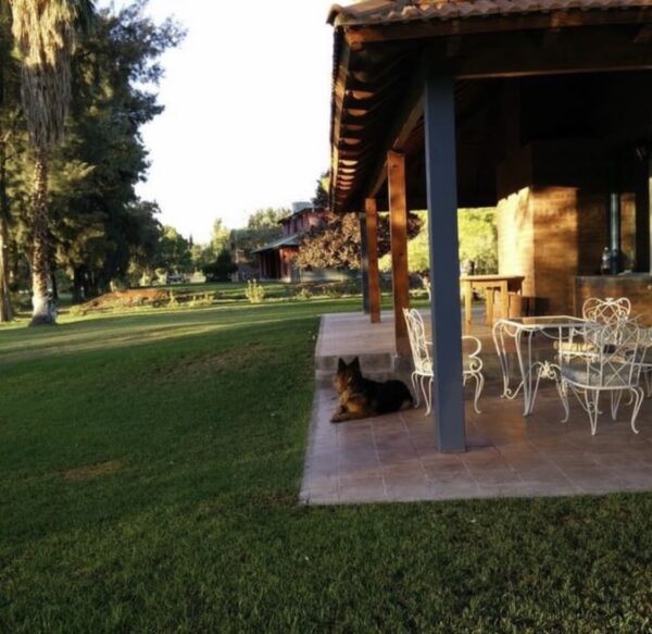 Venta: Casa Club Amancay 2 plantas Frente al Golf - Imagen 3